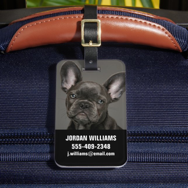 Niedliche Kleintiere | French Bulldog Gepäckanhänger (Vorderseite Insitu 2)