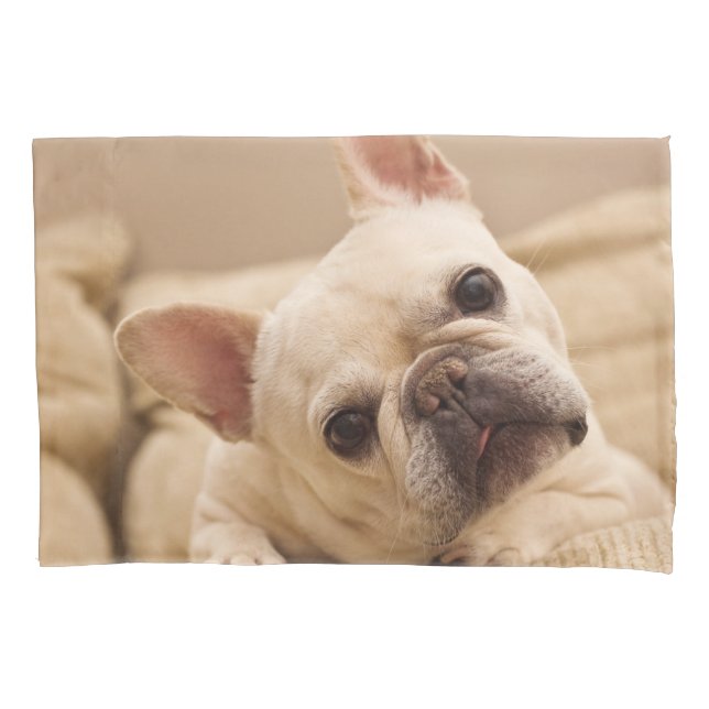 Niedliche Kleintiere | French Bulldog Head Tilt Kissenbezug (Vorderseite)