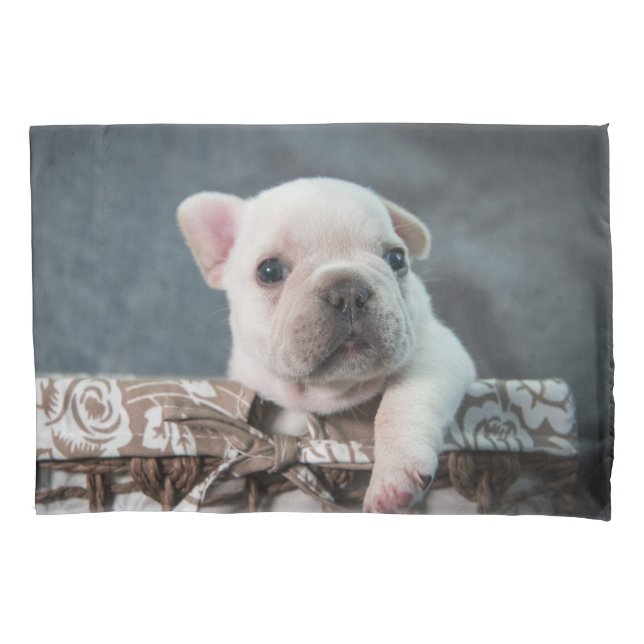 Niedliche Kleintiere | French Bulldog Kissenbezug (Vorderseite)