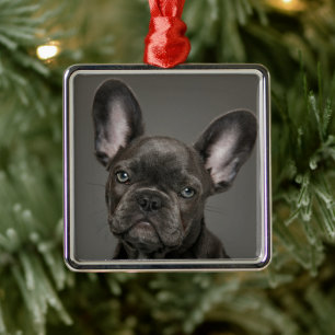 Niedliche Kleintiere   French Bulldog Ornament Aus Metall
