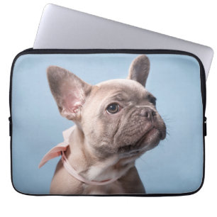 Niedliche Kleintiere   French Bulldog Pink Bow Laptopschutzhülle