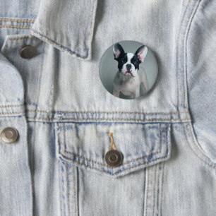 Niedliche Kleintiere French Bulldog Puppy Button