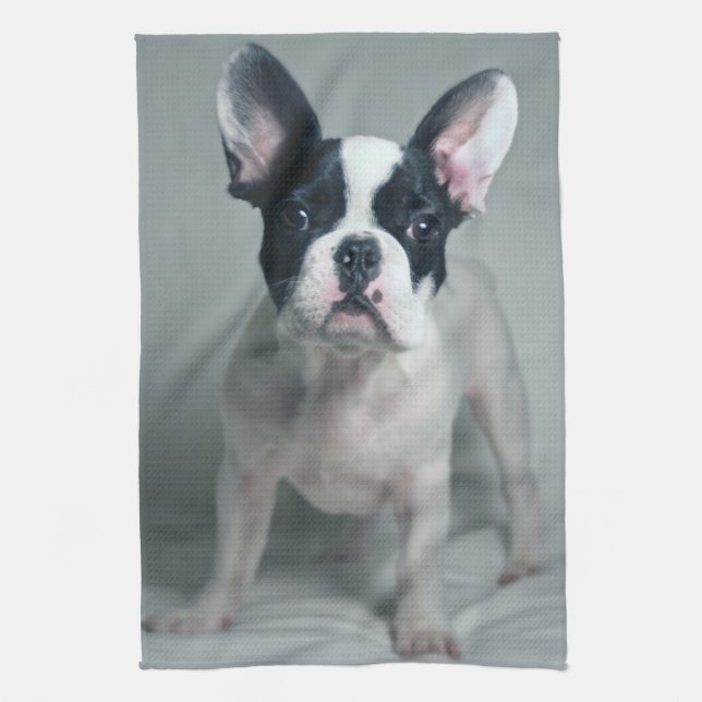Niedliche Kleintiere | French Bulldog Puppy Geschirrtuch (Vertikal)