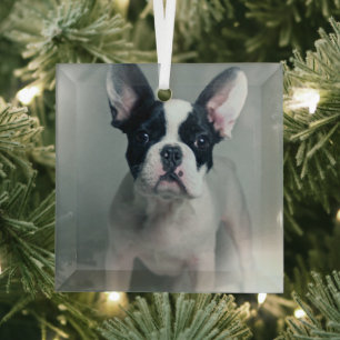 Niedliche Kleintiere French Bulldog Puppy Ornament Aus Glas