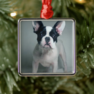 Niedliche Kleintiere French Bulldog Puppy Ornament Aus Metall