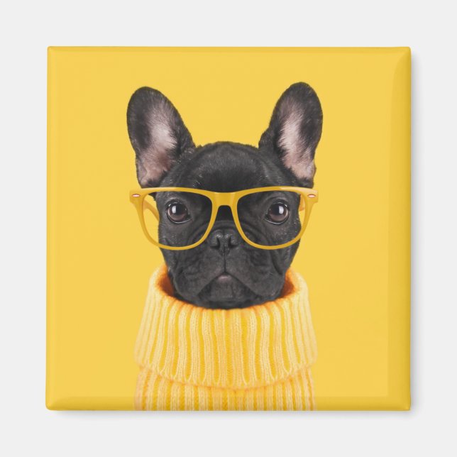 Niedliche Kleintiere | French Bulldog-Sonnenbrille Magnet (Vorne)