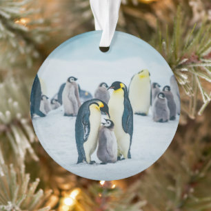 Niedliche Kleintiere   Fütternd Baby Pinguin Ornament