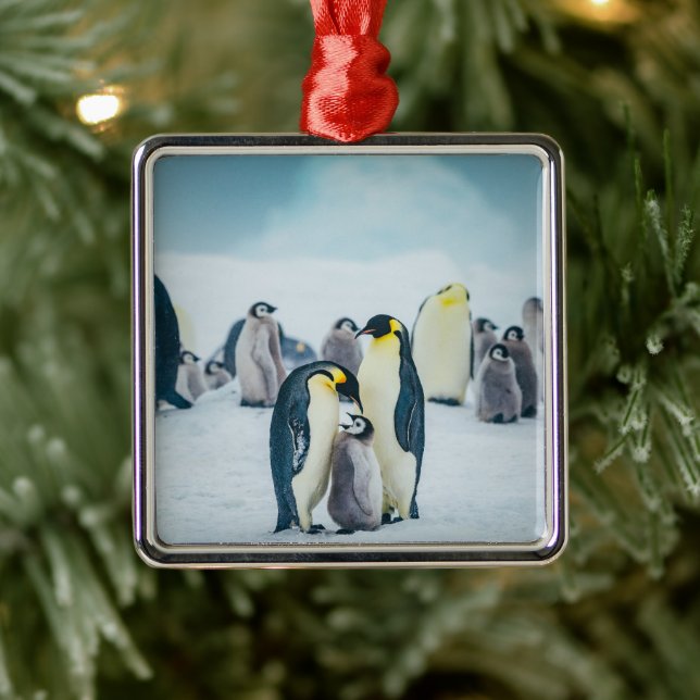 Niedliche Kleintiere | Fütternd Baby Pinguin Ornament Aus Metall (Baum)