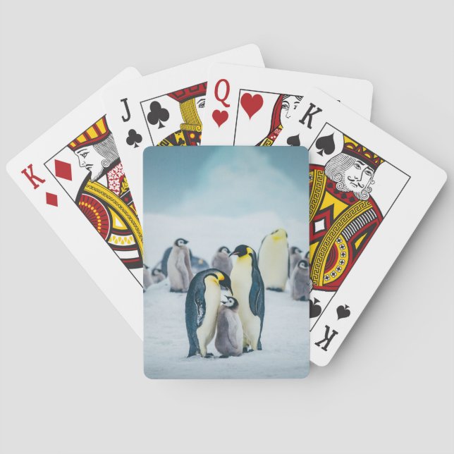 Niedliche Kleintiere | Fütternd Baby Pinguin Spielkarten (Rückseite)