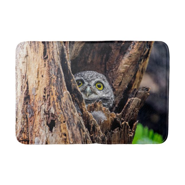 Niedliche Kleintiere | Gepunktete Owlet Badematte (Vorderseite)