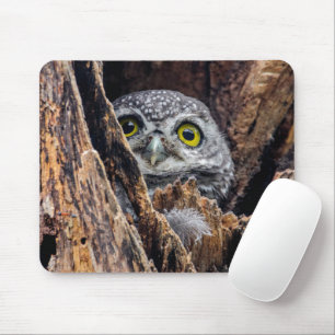 Niedliche Kleintiere Gepunktete Owlet Mousepad