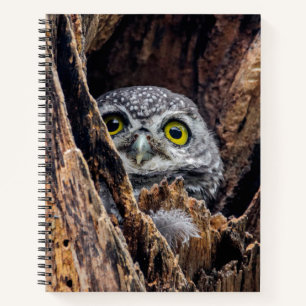 Niedliche Kleintiere Gepunktete Owlet Notizbuch