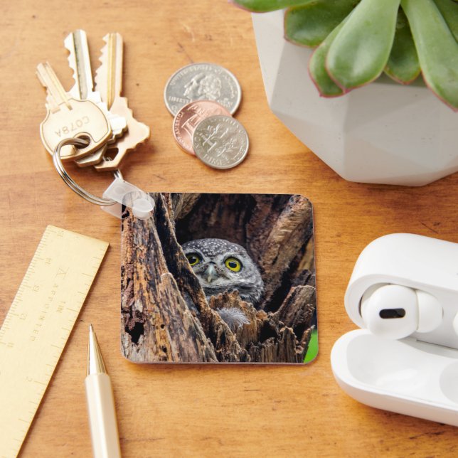 Niedliche Kleintiere | Gepunktete Owlet Schlüsselanhänger (Schreibtisch)