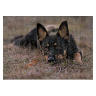 Niedliche Kleintiere German Shepherd Puppy Schneidebrett