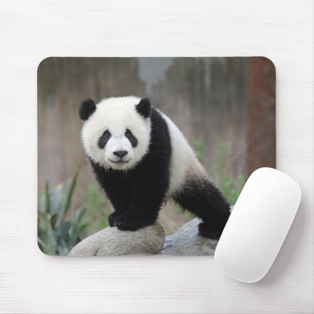 Niedliche Kleintiere | Giant Panda Baby Mousepad (Mit Mouse)