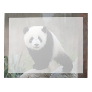 Niedliche Kleintiere   Giant Panda Baby Notizblock