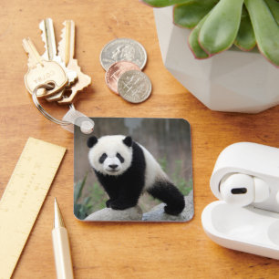 Niedliche Kleintiere   Giant Panda Baby Schlüsselanhänger