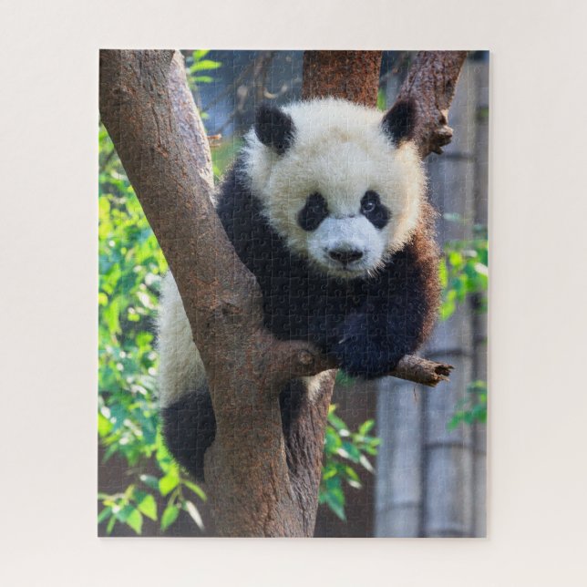 Niedliche Kleintiere | Giant Panda Cub (Vertikal)
