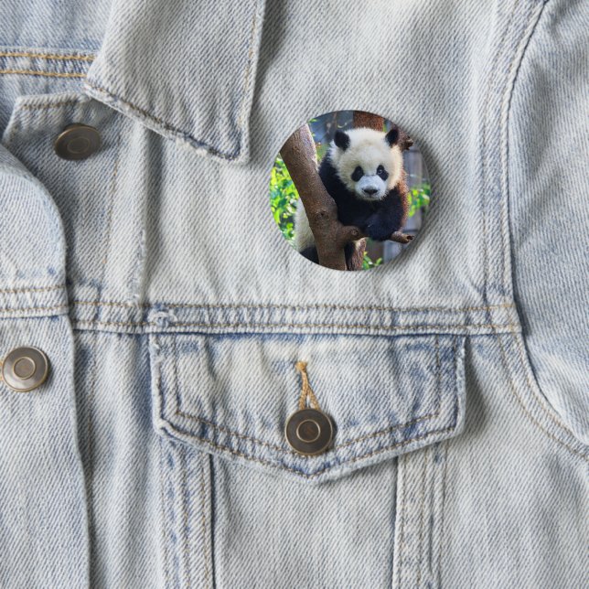 Niedliche Kleintiere | Giant Panda Cub Button (Beispiel)