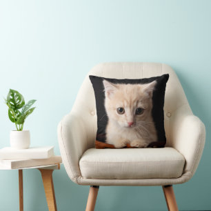 Niedliche Kleintiere   Ginger Kitten Kissen