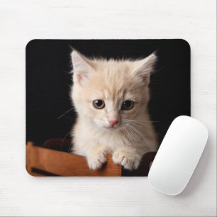 Niedliche Kleintiere   Ginger Kitten Mousepad
