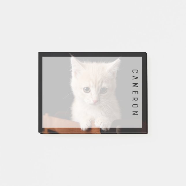 Niedliche Kleintiere | Ginger Kitten Post-it Klebezettel (Vorderseite)