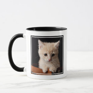 Niedliche Kleintiere Ginger Kitten Tasse