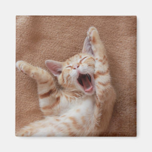 Niedliche Kleintiere   Ginger Kitten Yawning Magnet