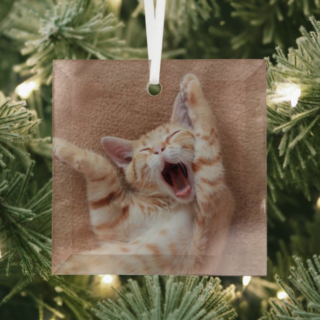 Niedliche Kleintiere | Ginger Kitten Yawning Ornament Aus Glas (Insitu)