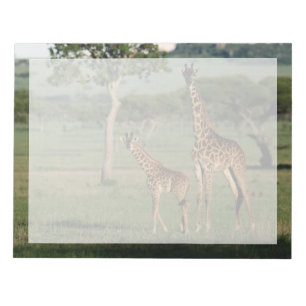 Niedliche Kleintiere   Giraffe Calf & Mama Notizblock