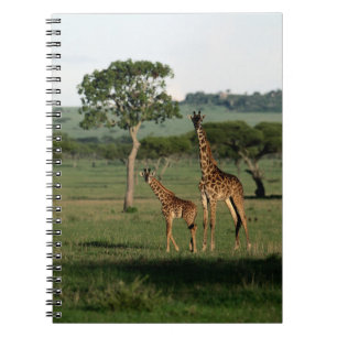 Niedliche Kleintiere   Giraffe Calf & Mama Notizblock