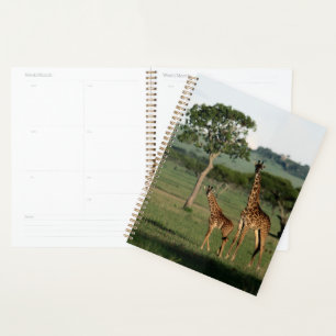 Niedliche Kleintiere Giraffe Calf & Mama Planer