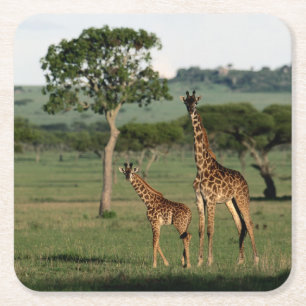 Niedliche Kleintiere   Giraffe Calf & Mama Rechteckiger Pappuntersetzer