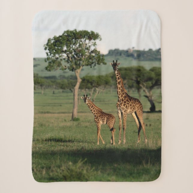 Niedliche Kleintiere | Giraffe Calf & Mama Sherpadecke (Vorderseite)