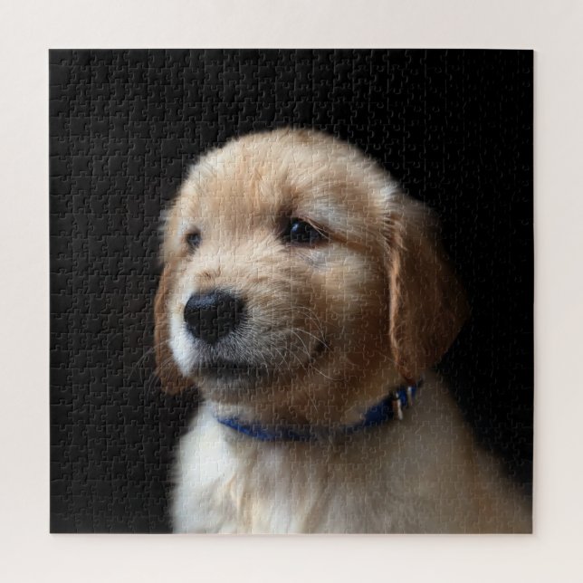 Niedliche Kleintiere | Golden Retriever Puppy (Vertikal)