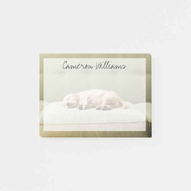 Niedliche Kleintiere | Golden Retriever Puppy 2 Post-it Klebezettel (Vorderseite)