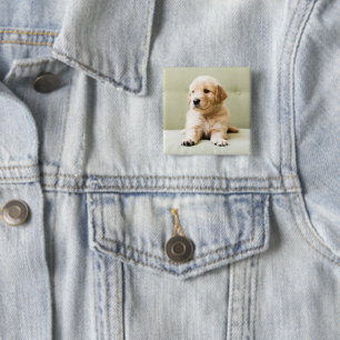 Niedliche Kleintiere Golden Retriever Puppy Button