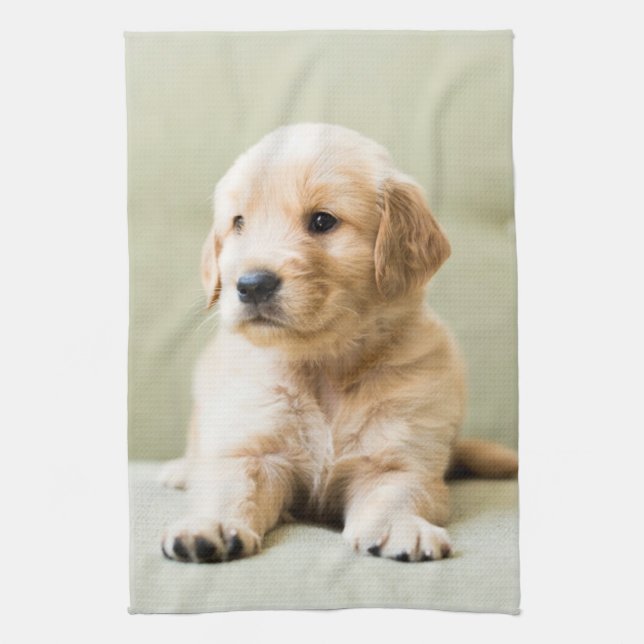 Niedliche Kleintiere | Golden Retriever Puppy Geschirrtuch (Vertikal)