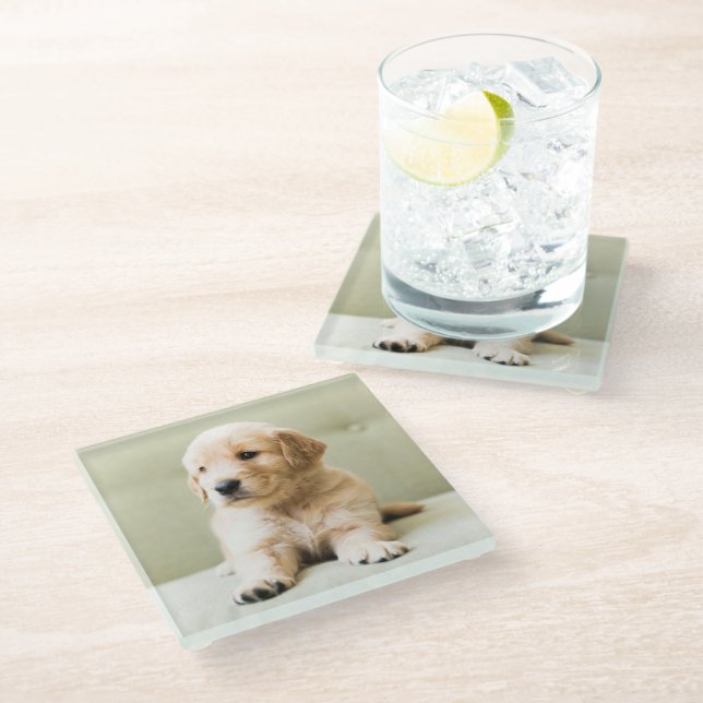 Niedliche Kleintiere | Golden Retriever Puppy Glasuntersetzer (Schrägansicht)
