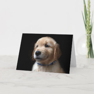 Niedliche Kleintiere   Golden Retriever Puppy Karte