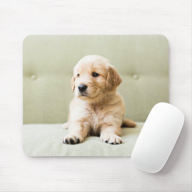 Niedliche Kleintiere | Golden Retriever Puppy Mousepad (Mit Mouse)