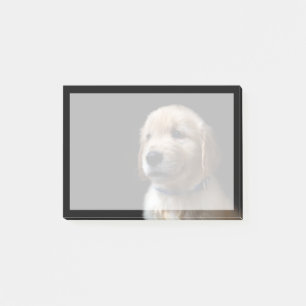 Niedliche Kleintiere Golden Retriever Puppy Post-it Klebezettel