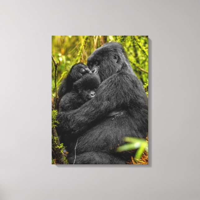 Niedliche Kleintiere | Gorilla & Baby Leinwanddruck (Vorderseite)
