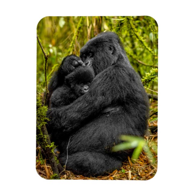 Niedliche Kleintiere | Gorilla & Baby Magnet (Vertikal)