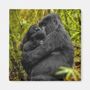 Niedliche Kleintiere Gorilla & Baby Magnet