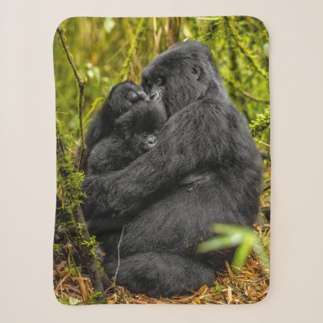 Niedliche Kleintiere | Gorilla & Baby Sherpadecke (Vorderseite)