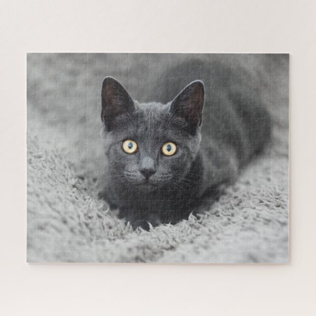 Niedliche Kleintiere | Graue Katze (Horizontal)