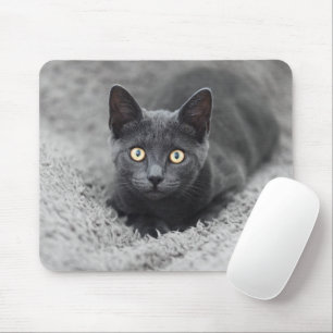 Niedliche Kleintiere   Graue Katze Mousepad