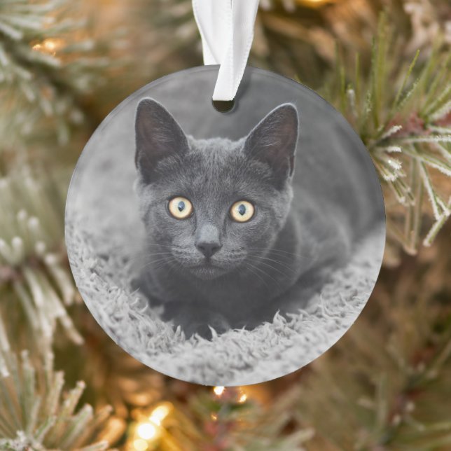 Niedliche Kleintiere | Graue Katze Ornament (Baum)
