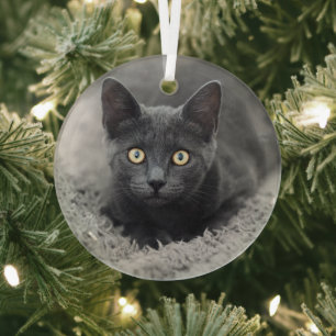 Niedliche Kleintiere   Graue Katze Ornament Aus Glas